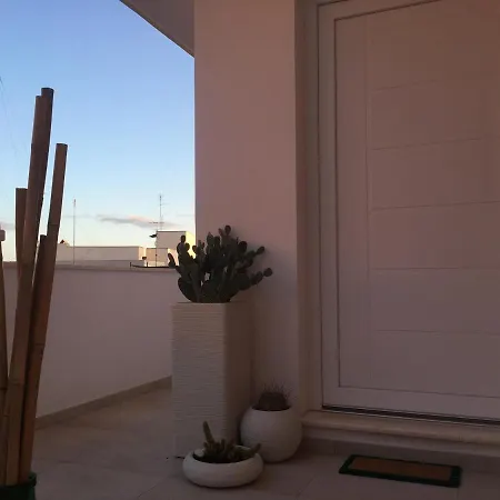 Tom & Ros House