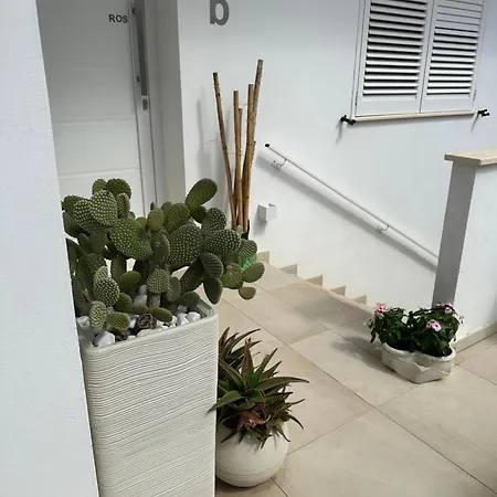 Tom & Ros House * 卡萨拉诺